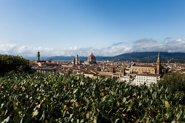 Panorama of Florence under the hot summer sun