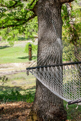 Hammock hanging on trees by bird feeder