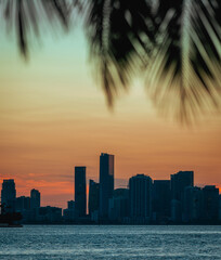 Fototapeta na wymiar miami skyline beautiful palms sky orange