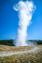 The Mammoth Hot Springs Area in Yellowstone National Park, Wyoming