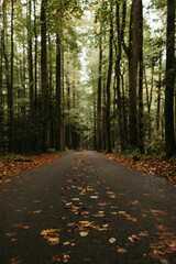 Roaring Fork Motor Trail in Great Smoky Mountains National Park