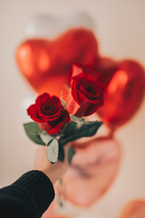 Person Holding Red Roses near Heart Helium Balloons