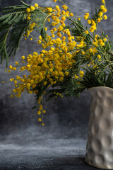 Spring yellow mimosa flowers in interior
