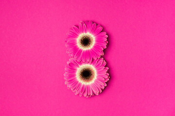 Pink gerbera in the form of the number 8 on a bright pink background. The concept of International...