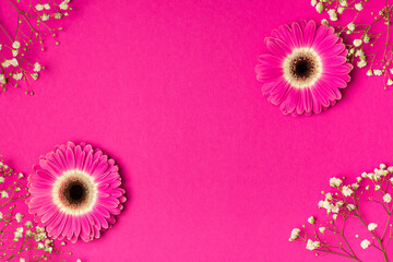 Pink gerbera and gypsophila on a bright pink background. The concept of  Valentine's Day, International Women's Day and Mother's Day. Space for text.