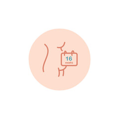 16 weeks pregnant icon. Sixteen weeks of pregnancy calendar icon in vector. Four months pregnant woman sign. Pregnancy week by week.