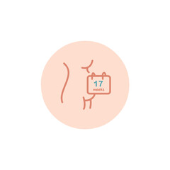 17 weeks pregnant icon. Seventeen weeks of pregnancy calendar icon in vector. Four months pregnant woman sign. Pregnancy week by week.