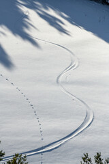 Champ de neige