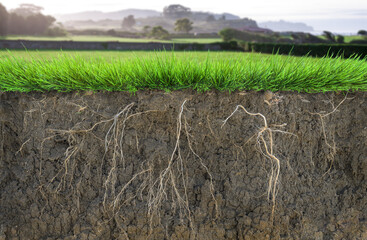 soil cross, grass with roots and green field on background - 568014207