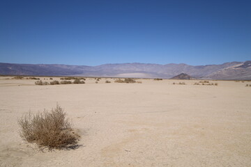 sand dunes in park state