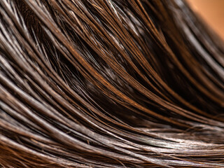 Beautiful wet long hair of a girl. Hair coloring in a beauty salon. Macro photography of women's...