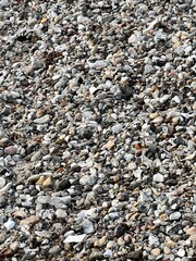 Beach stones