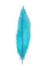 Watercolor drawing blue soft magical bird feather element on transparent background
