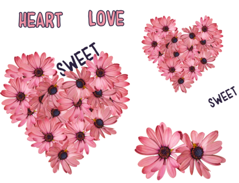 Pink floral hearts and  separate gazania flowers with long petals on transparent background sticker pack
