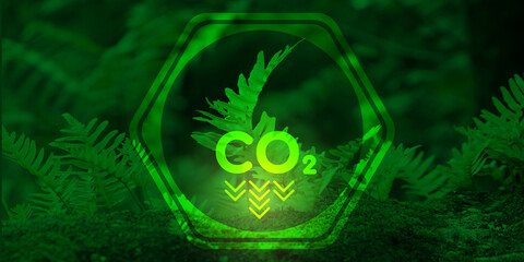Ecology, sustainable resources, renewable energy concept. A fern sprout next to the graphic...