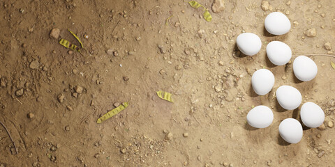 Top down look of fresh wholesome organic free range white eggs in the dirt