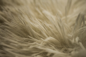 Close up soft wool background. Texture fluffy fur. Natural fur rug.