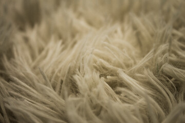 Close up soft wool background. Texture fluffy fur. Natural fur rug.