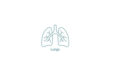 Lungs icon icon vector illustration 