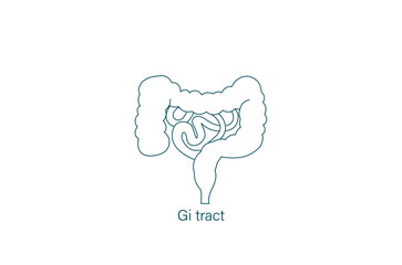 human gastrointestinal tract line icon vector