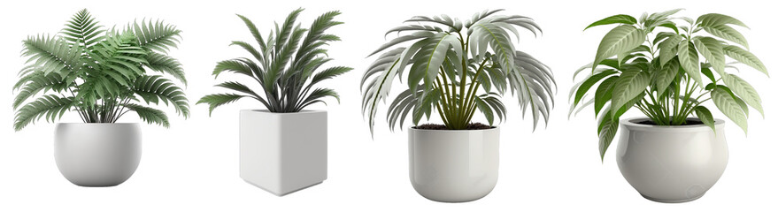 Plants in a modern white pot, transparent background, generative ai 