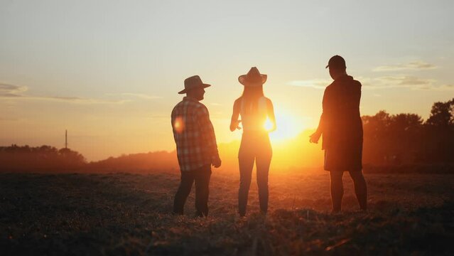 Team farmers in wheat field discussed problem and came to common solution. Respect and partnership or teamwork. Planning in nature outdoors on farming and growing plants. Farmers silhouette concept.