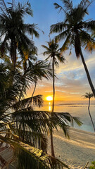 A beautiful sunrise over a tropical beach with palm trees in the Maldive Islands.