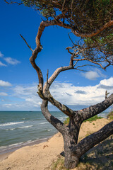 Baltic sea coast next to Ventspils, Latvia.