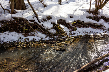 Stream with snow-covered banks in the winter forest