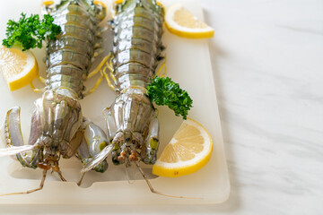 fresh mantis shrimp with lemon