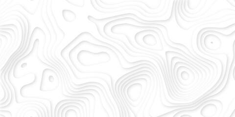 Abstract wavy line 3d paper cut white background. Topographic canyon geometric map relief texture with curved layers and shadow. Abstract realistic papercut decoration textured with wavy layers	