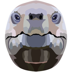Head of a land turtle. Bright Portrait is depicted on a white background. Vector graphics. Animal logo