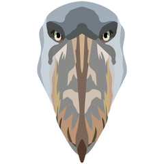 Head of a shoebill. An illustration of the face of a large bird is depicted. A bright portrait is depicted on a white background. Vector graphics. Animal logo