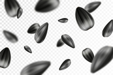 Sunflower seed background. Flying sunflower seed isolated on transparent background. Selective focus. Can be used for advertising, packaging, banner. Realistic 3d design. Vector illustration