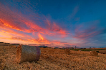 Hay bale field at sunset, Sicily IT