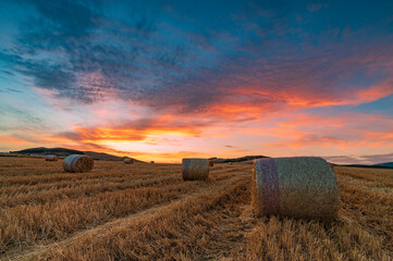 Hay bale field at sunset, Sicily IT