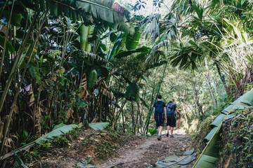 person walking in the colombian jungle