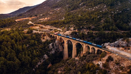 Fototapeta na wymiar the train passes over the bridge over the gorge