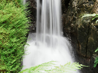 waterfall in the forest