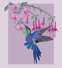  Poster botanical illustration of hummingbird with exotic flowers