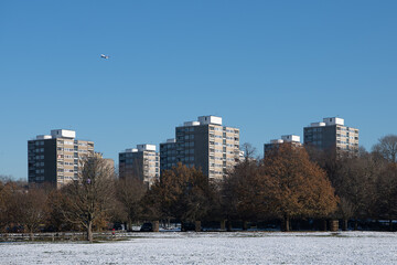 Obraz premium View of Alton Estate from Richmond Park
