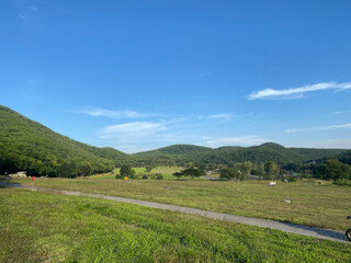 Small road surrounded by green forest and blue sky, perfect for outdoor and travel projects. Scenic summer landscape, ideal as background. Tranquil nature image transports audience to peaceful place.