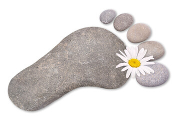 Stones as foot with chamomile flower, transparent background