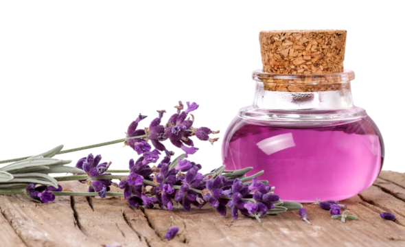 Flask with lavender essence, transparent background