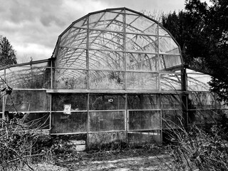 an abandoned greenhouse 