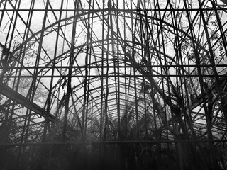 old abandoned greenhouse 
