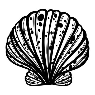 recommend clip art: Marine seashell or mollusk for design of invitation, fabric, textile, etc.