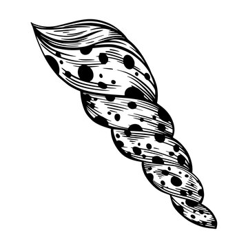 recommend clip art: Marine spiral seashell with dots for design of invitation, fabric, textile, etc.