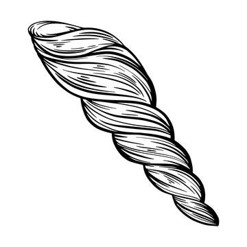 recommend clip art: Marine spiral seashell or mollusk for design of invitation, fabric, textile, etc.