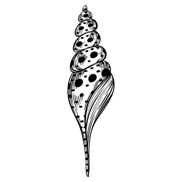 recommend clip art: Marine spiral seashell or oceanshell with dots for design of invitation, fabric, textile, etc.